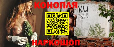 метадон Гай