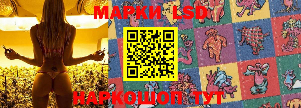 Марки N-bome 1500мкг Новозыбков