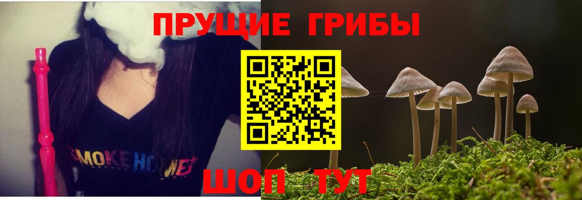 Псилоцибиновые грибы Psilocybine cubensis  Вход с VPN  купить  сайты  Новозыбков 