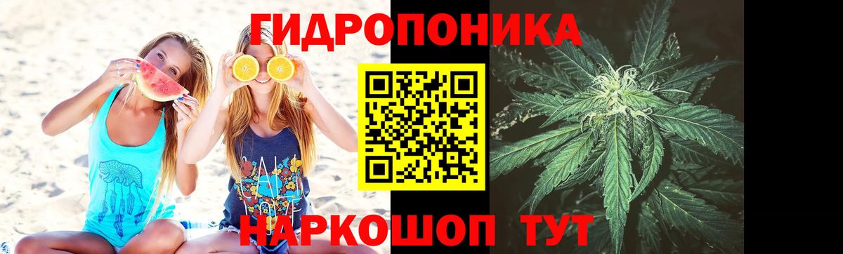 МАРИХУАНА LSD WEED Новозыбков